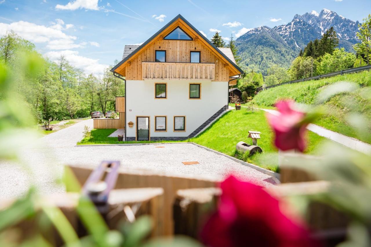 Apartmán Hisa Kosobrin Kranjska Gora Exteriér fotografie